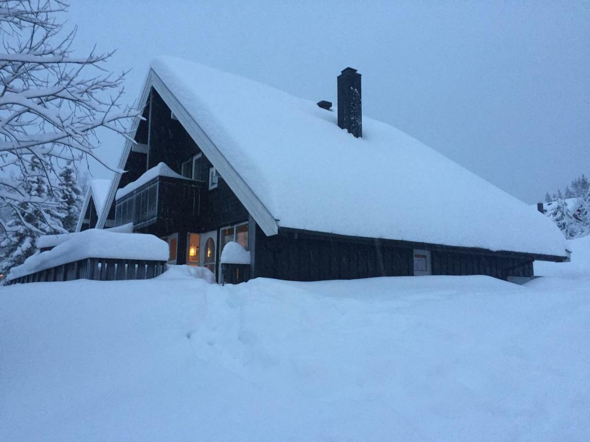 Trysil Alpin 16A Top Location エクステリア 写真